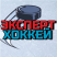 Хоккейный Эксперт