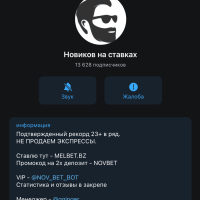 Телеграм канал Новиков на ставках(Основатель Дмитрий Новиков)