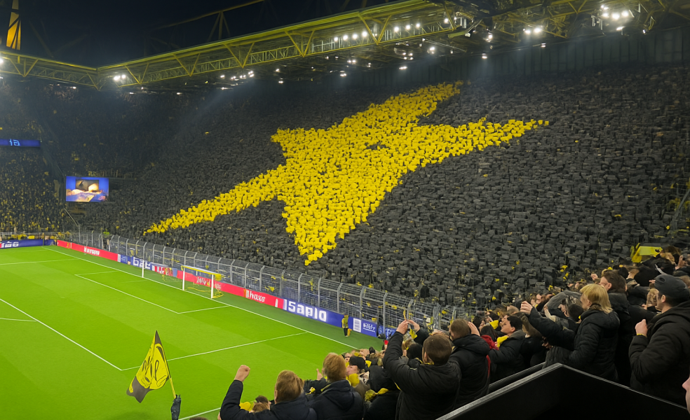 Ткр в ставках на спорт: суть формата и варианты игры