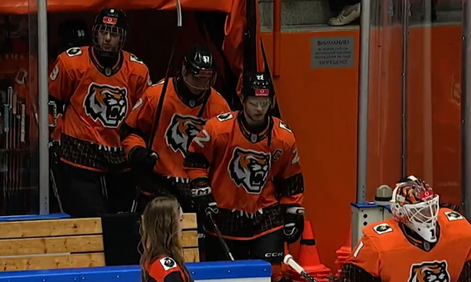 Амурские Тигры обыграли московское Динамо на домашней арене