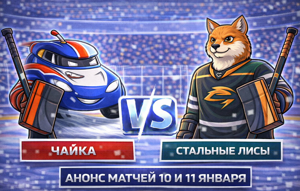 Чайка – Стальные Лисы: анонс матчей 10 и 11 января