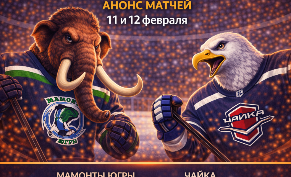 Мамонты Югры – Чайка: анонс матчей 11 и 12 февраля