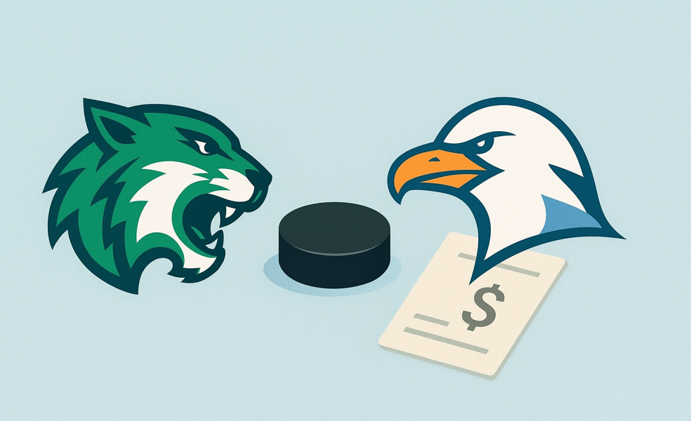 Прогноз на игру Ирбис — Чайка