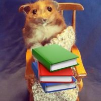 Уютный Разбирает | Инвестиции